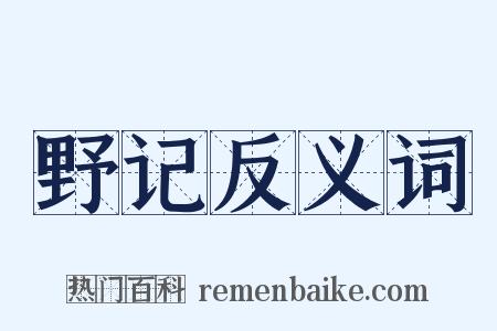 野记反义词是什么意思的图片